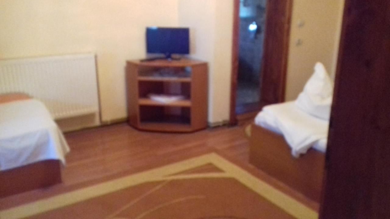 Дома для отпуска Pensiunea Vladut Бран